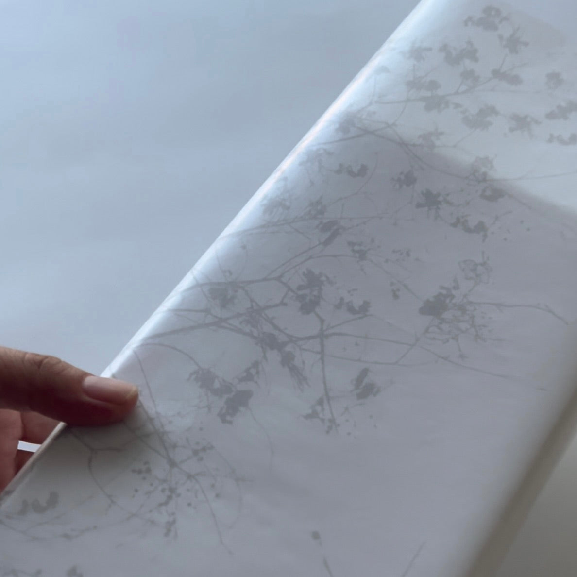 グラシン紙　中　＜木陰＞