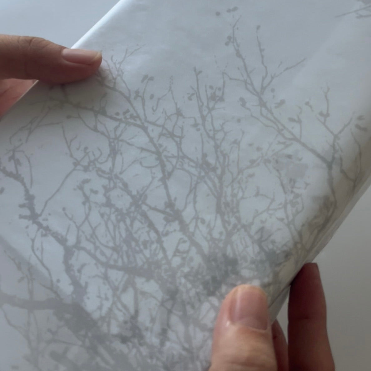 グラシン紙　中　＜木陰＞