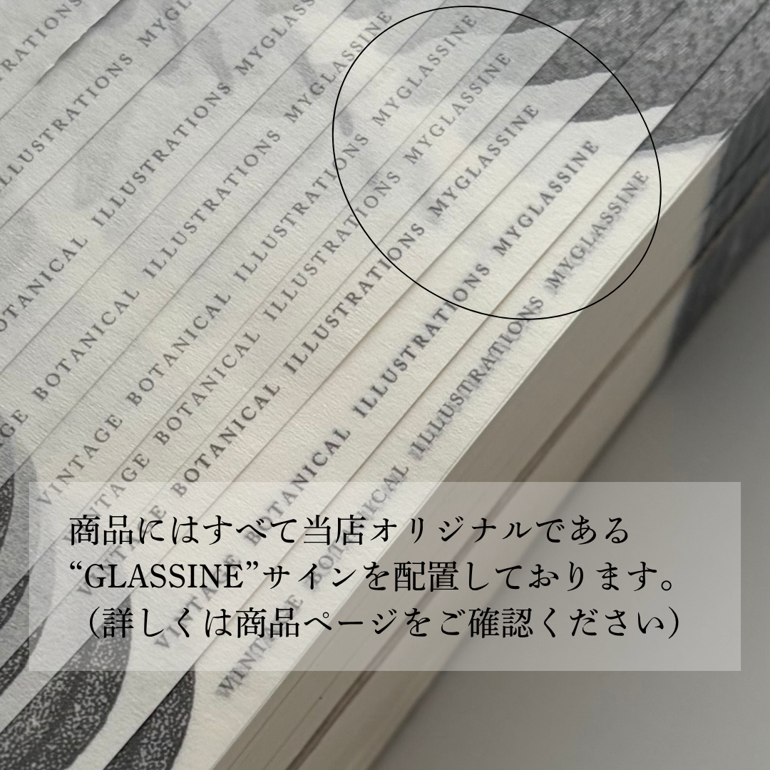 【New食品紙】 耐油紙 ＿15角　　