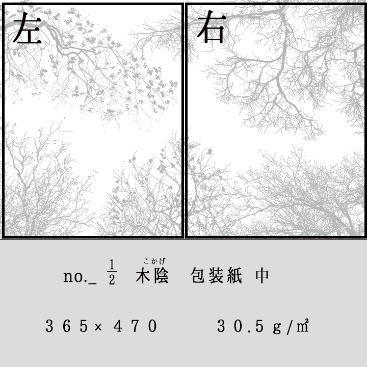 グラシン紙　中　＜木陰＞