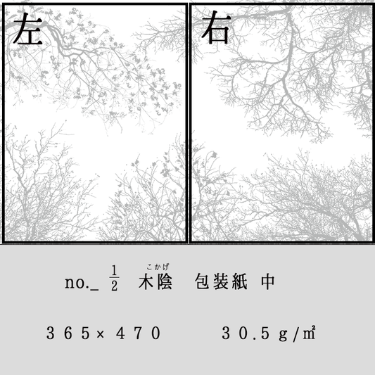 グラシン紙　中　＜木陰＞