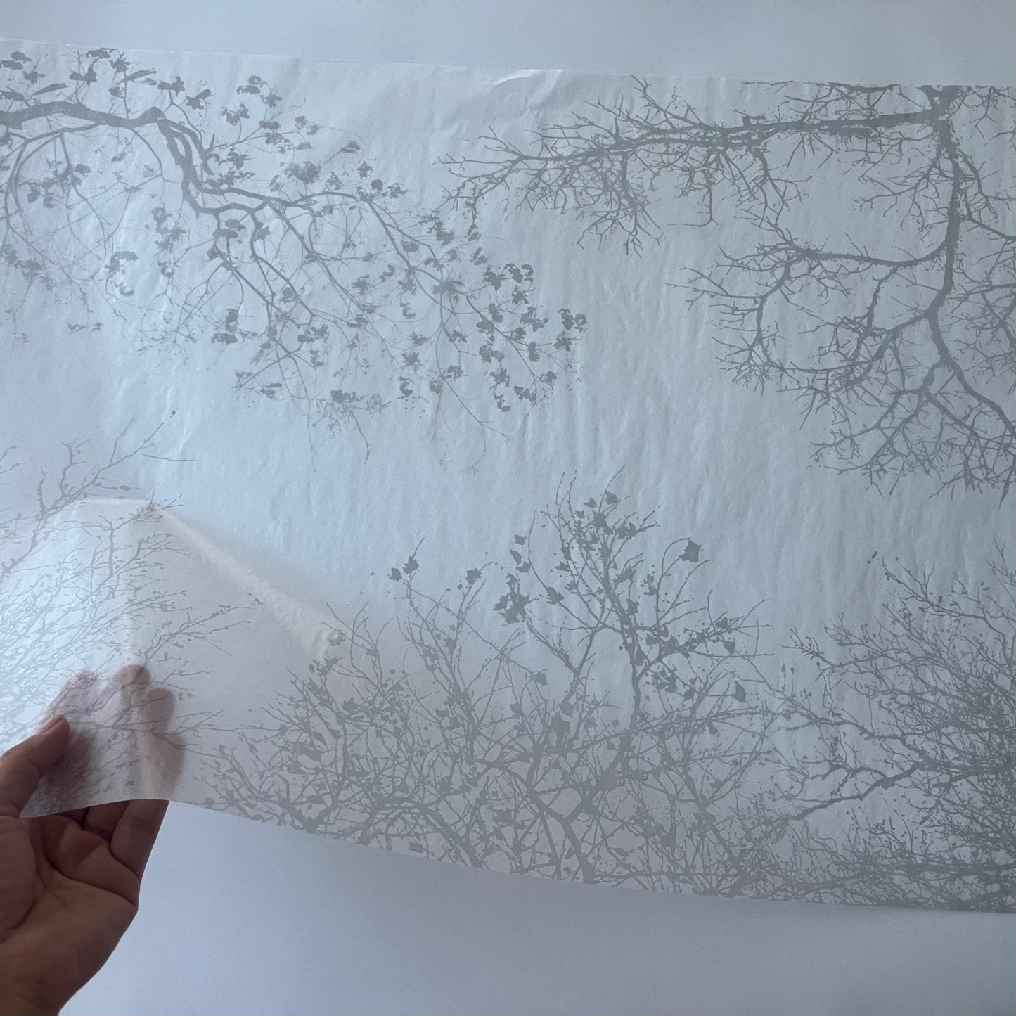 グラシン紙　大　＜木陰＞