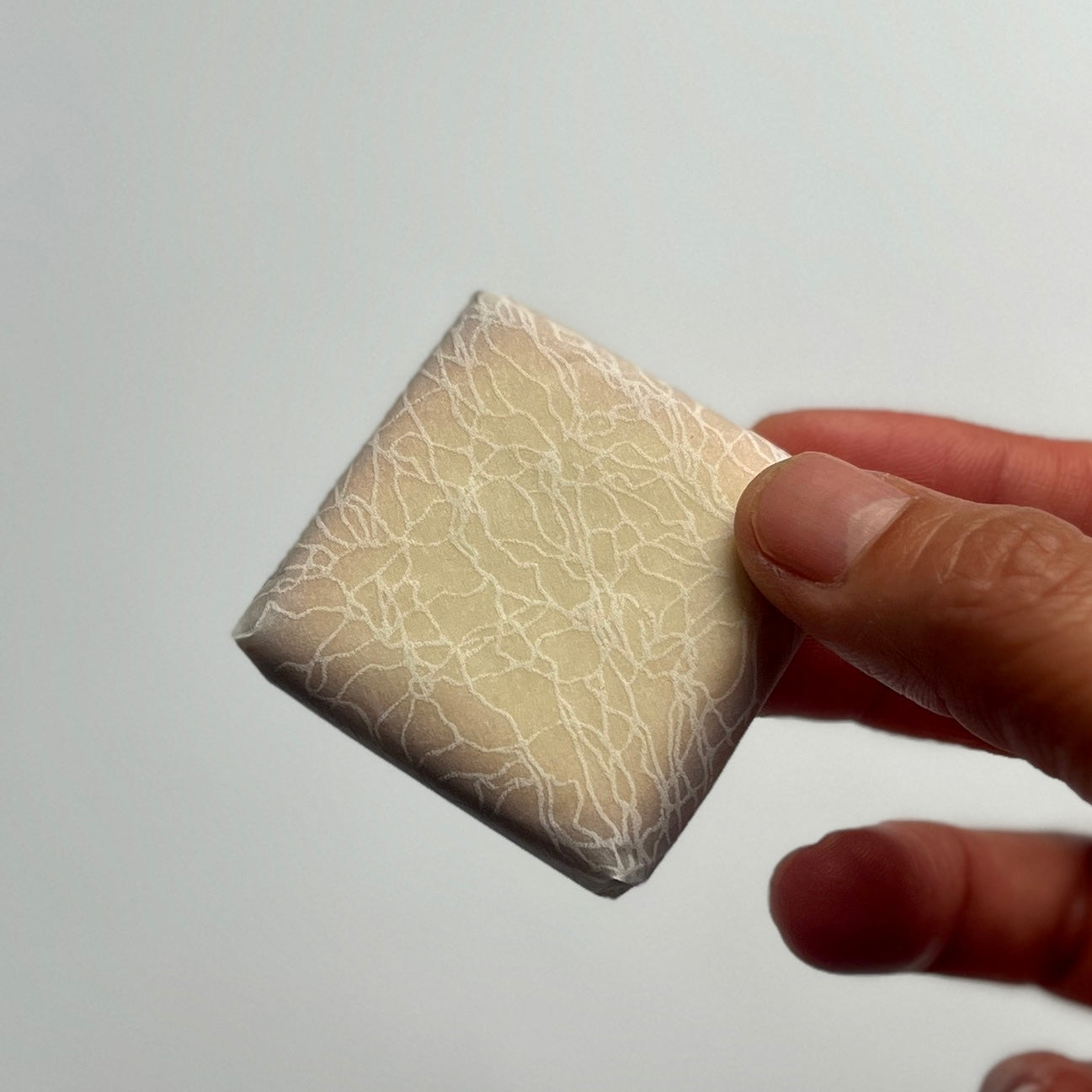 デザインペーパー＜植物柄＞