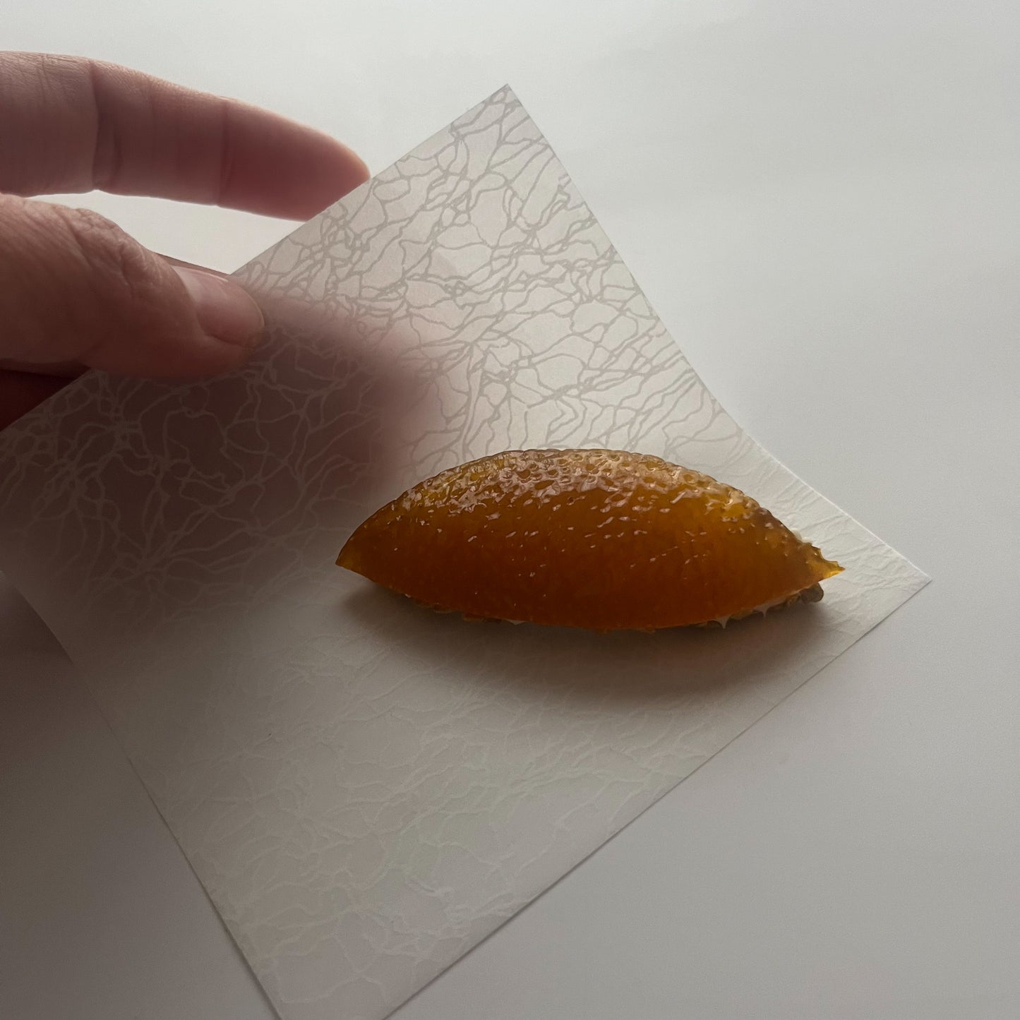 デザインペーパー＜植物柄＞