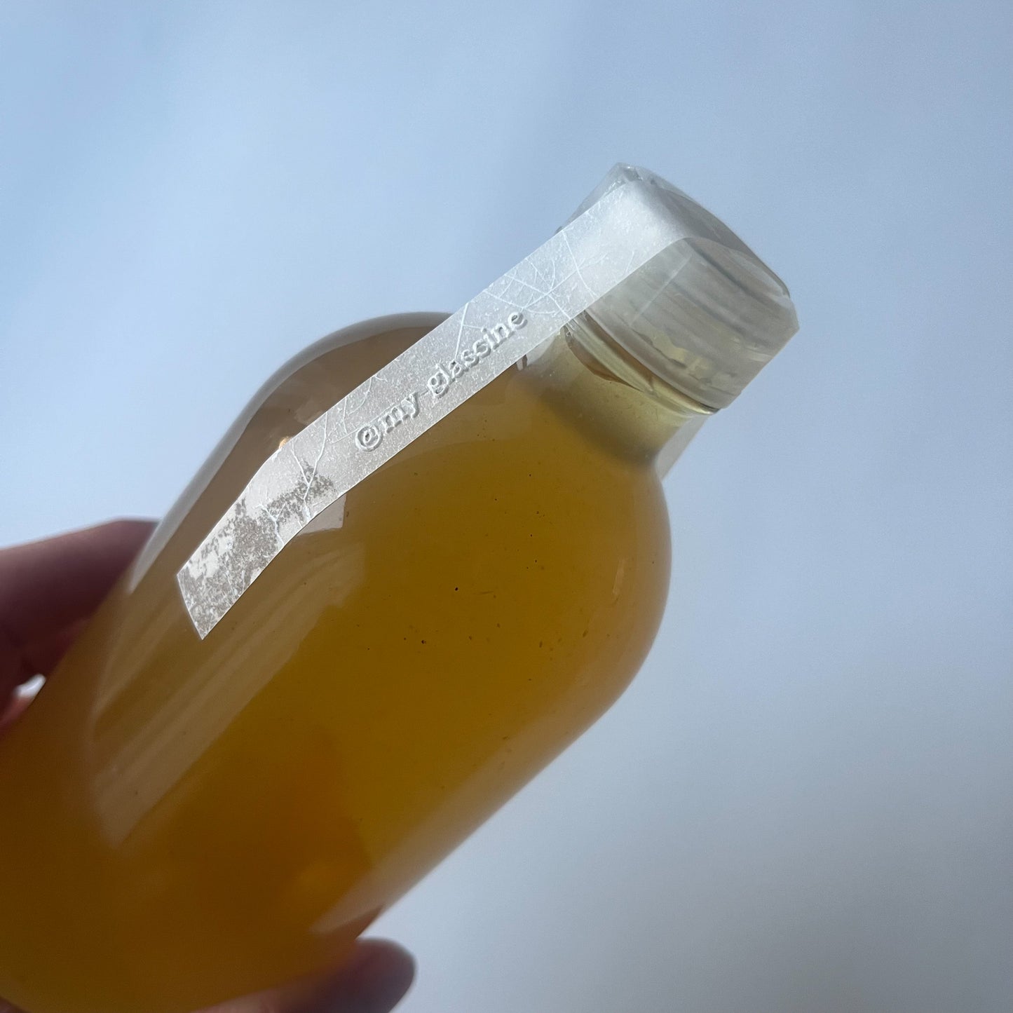 トレーシングシール　    木陰