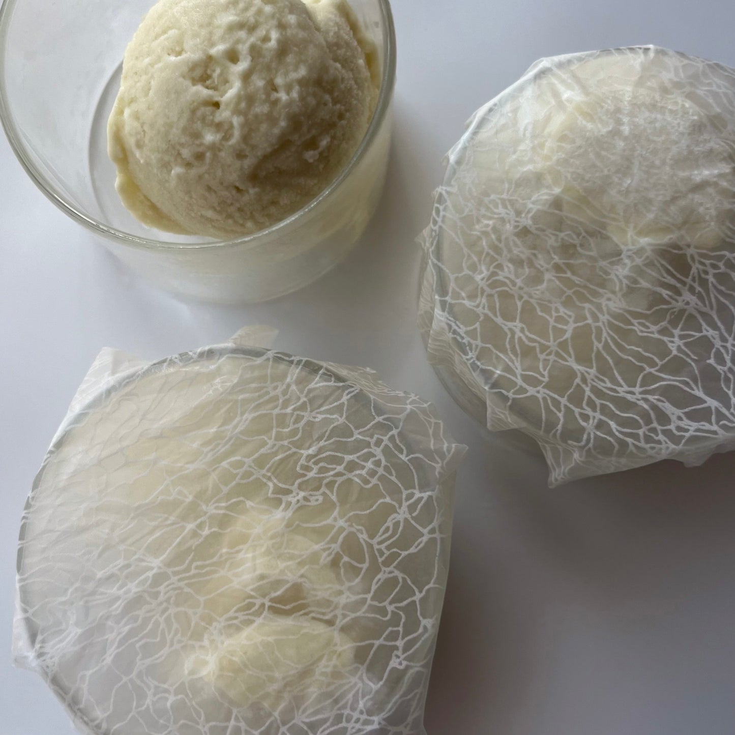 デザインペーパー＜植物柄＞