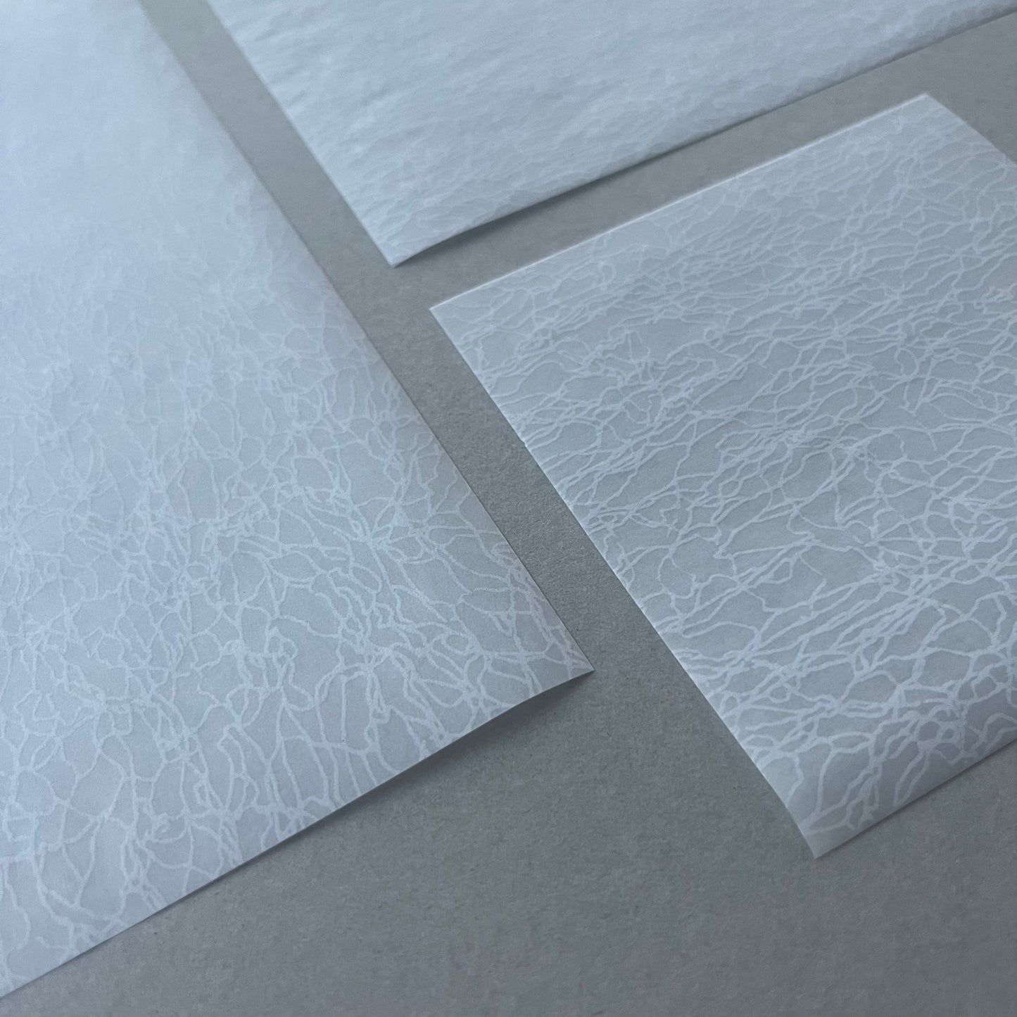 デザインペーパー＜植物柄＞