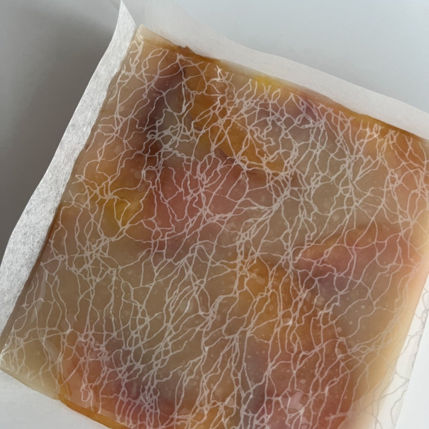 デザインペーパー＜植物柄＞