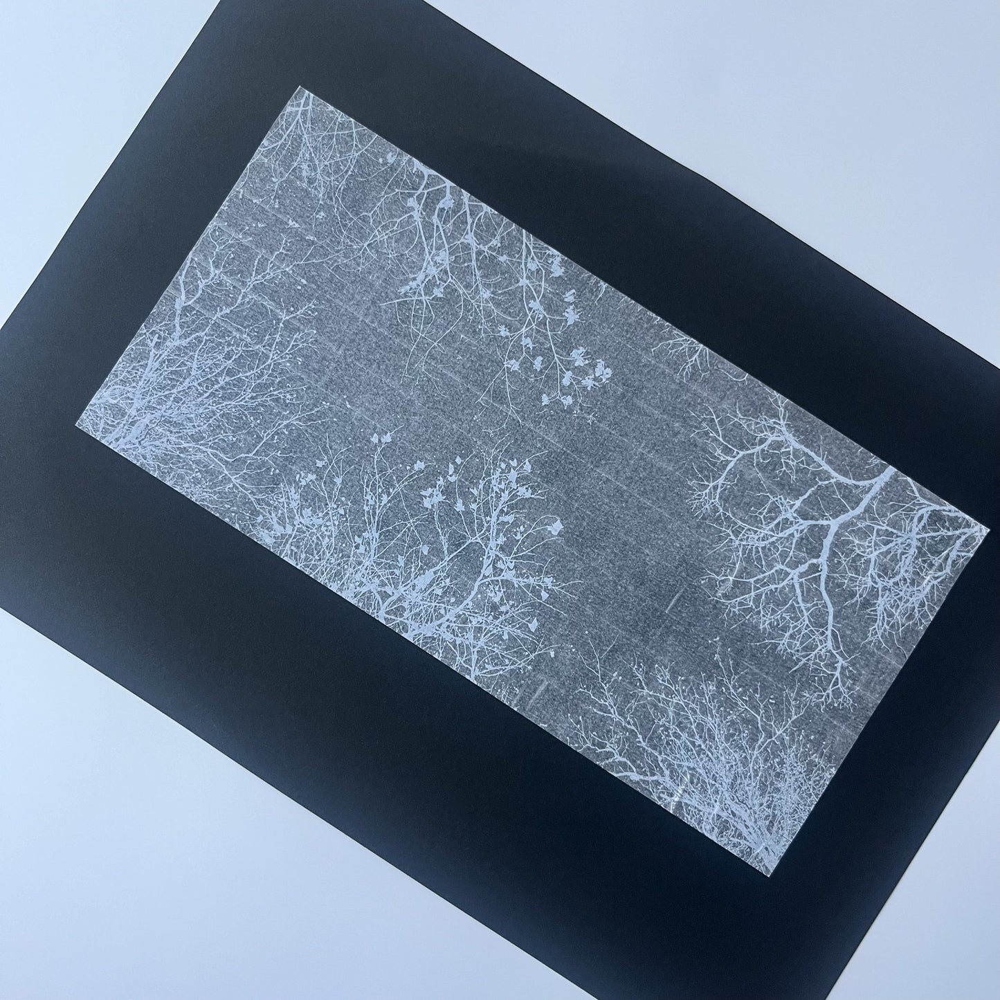 トレーシングシール　    木陰