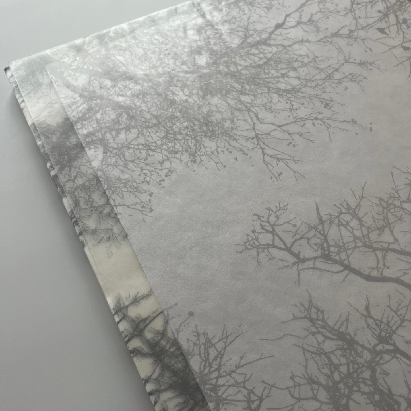 グラシン紙　中　＜木陰＞