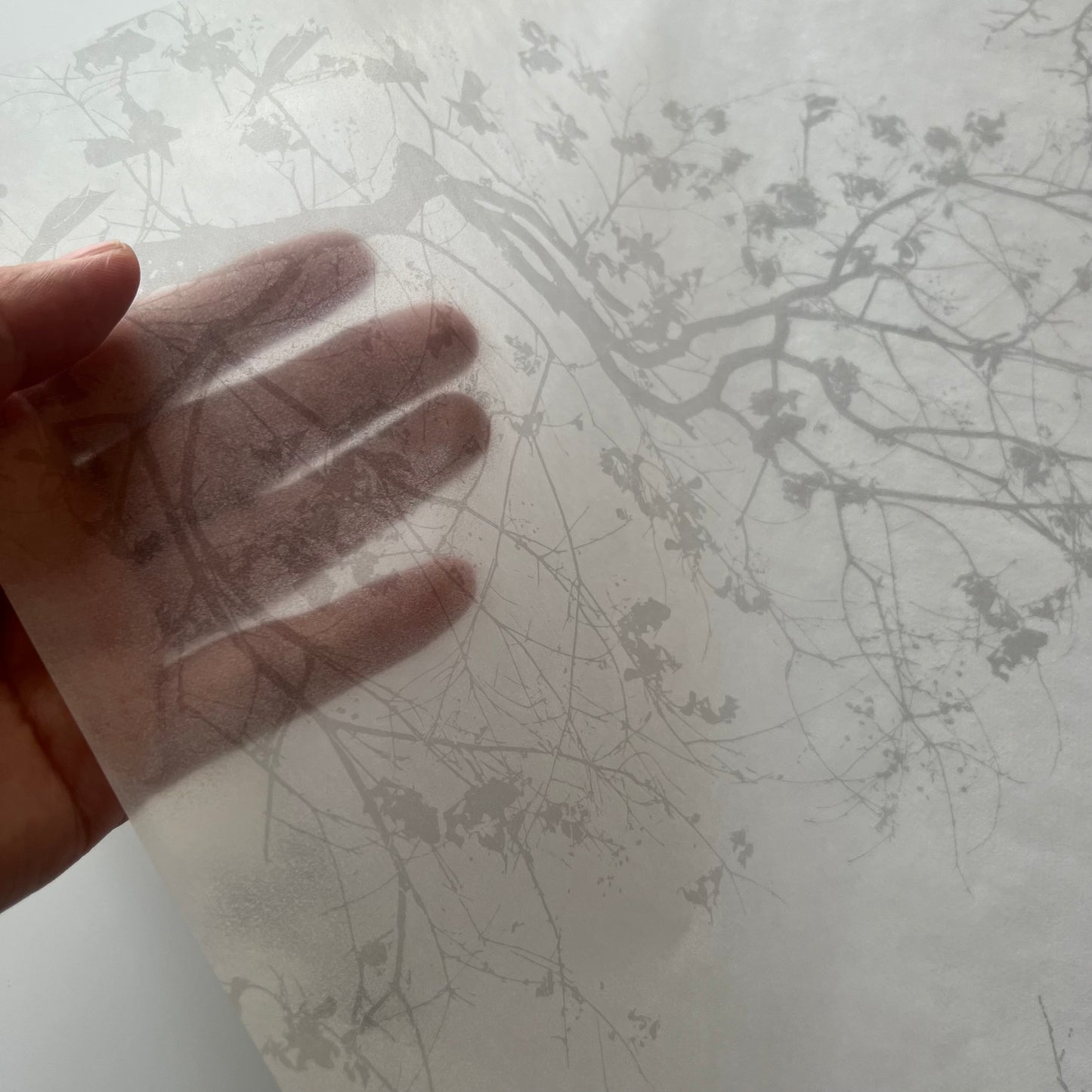 グラシン紙　大　＜木陰＞