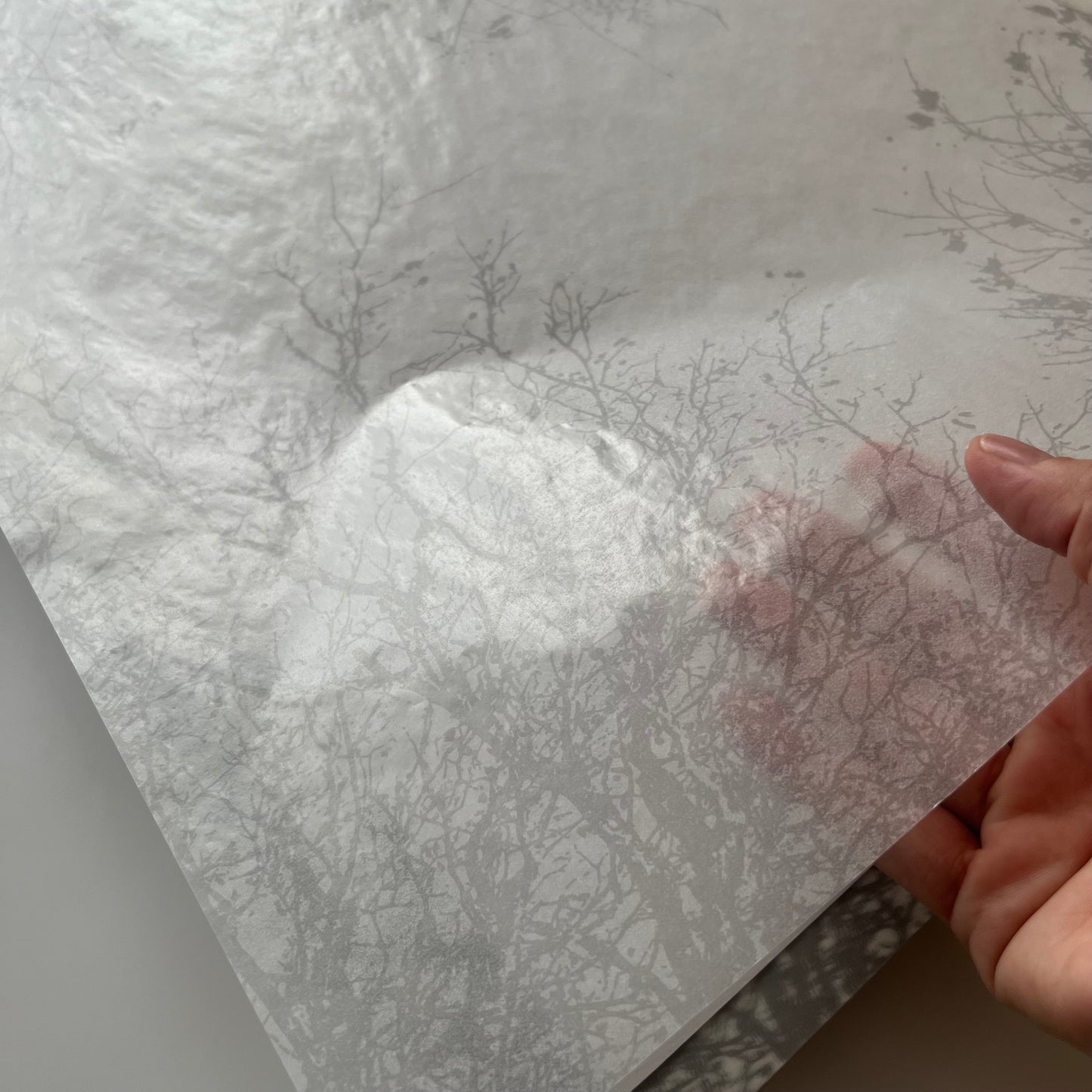 グラシン紙　中　＜木陰＞