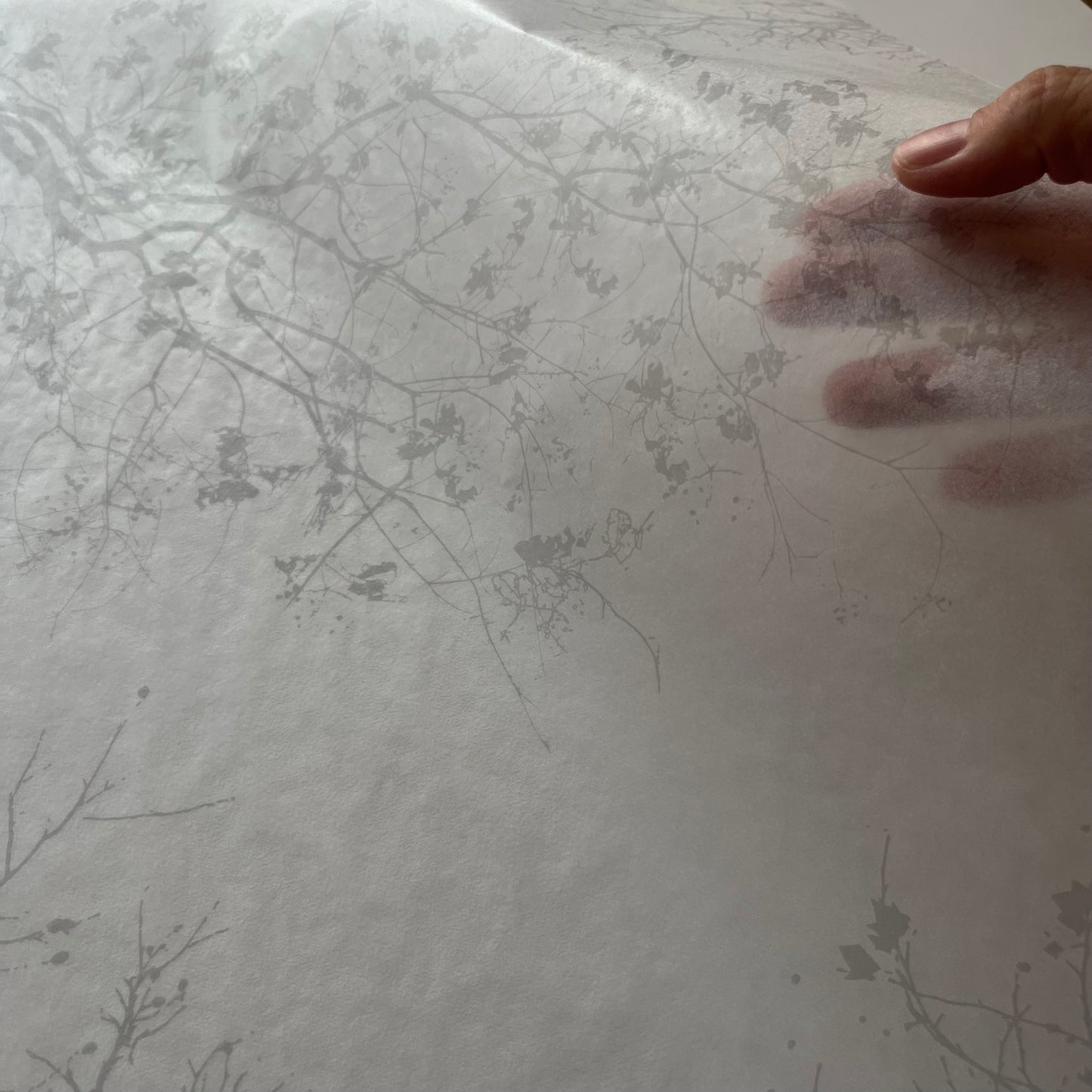 グラシン紙　中　＜木陰＞