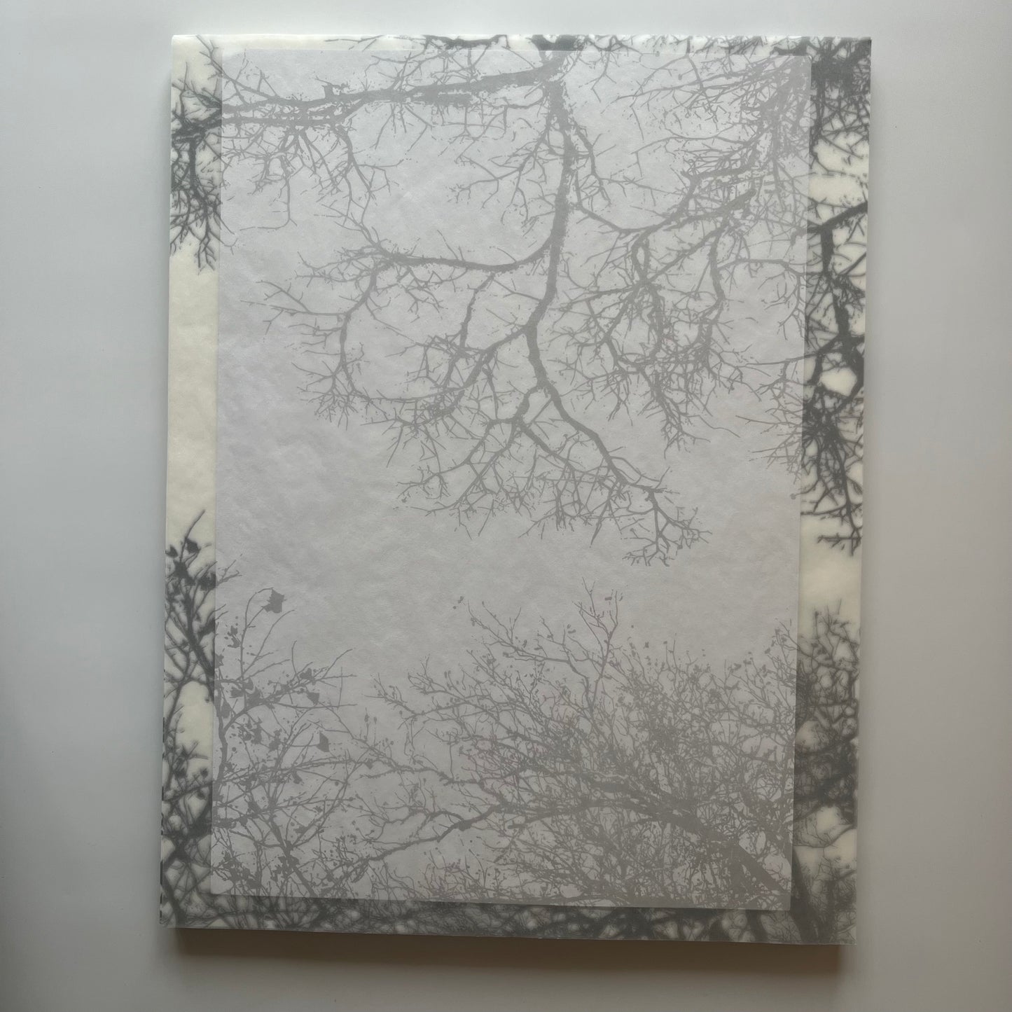 グラシン紙　中　＜木陰＞