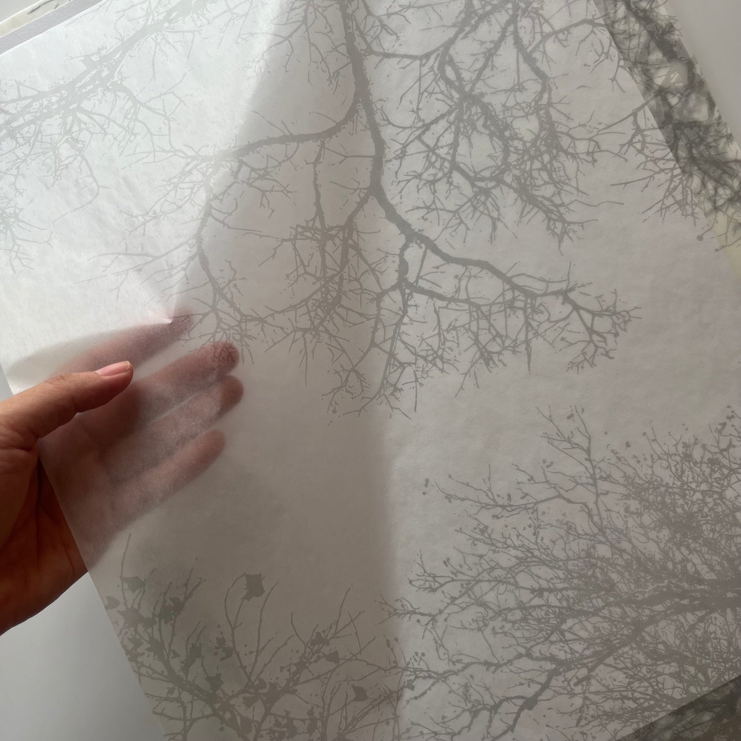 グラシン紙　大　＜木陰＞