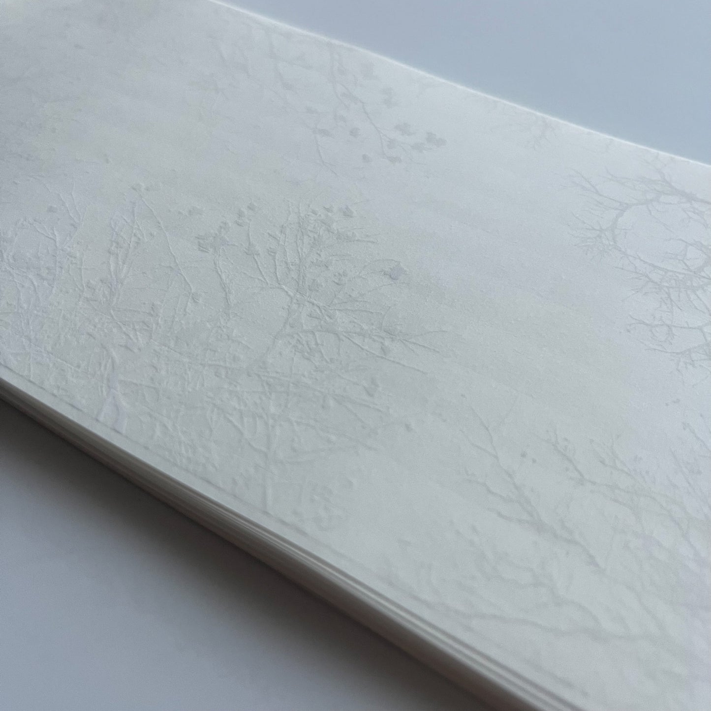 トレーシングシール　    木陰