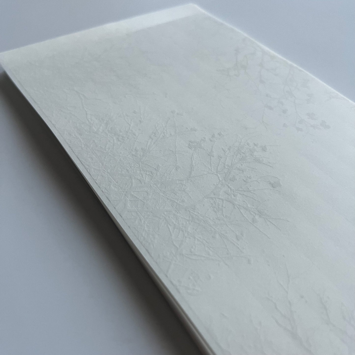 トレーシングシール　    木陰