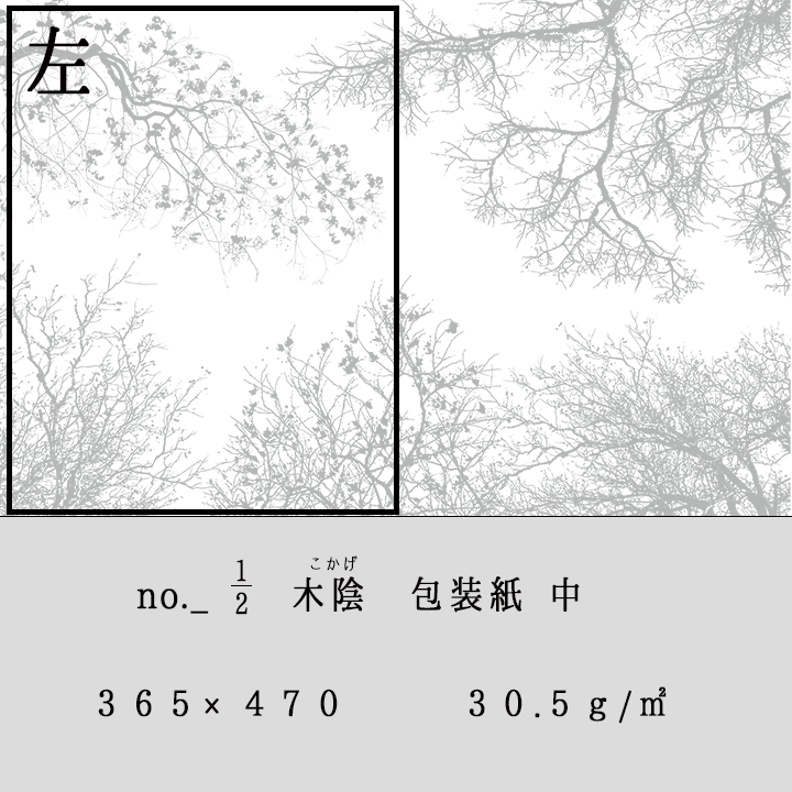 グラシン紙　中　＜木陰＞