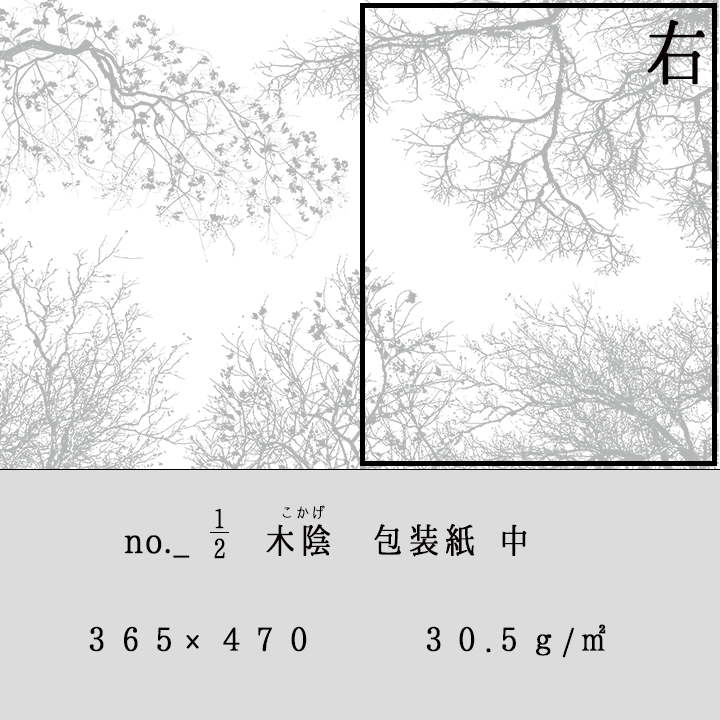 グラシン紙　中　＜木陰＞